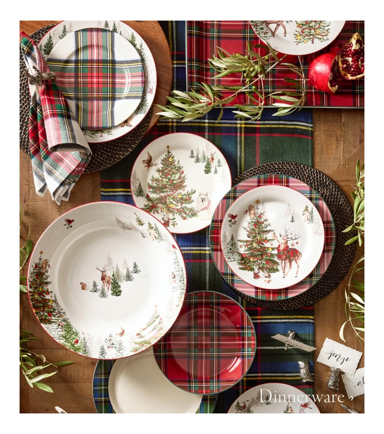 Shop Dinnerware